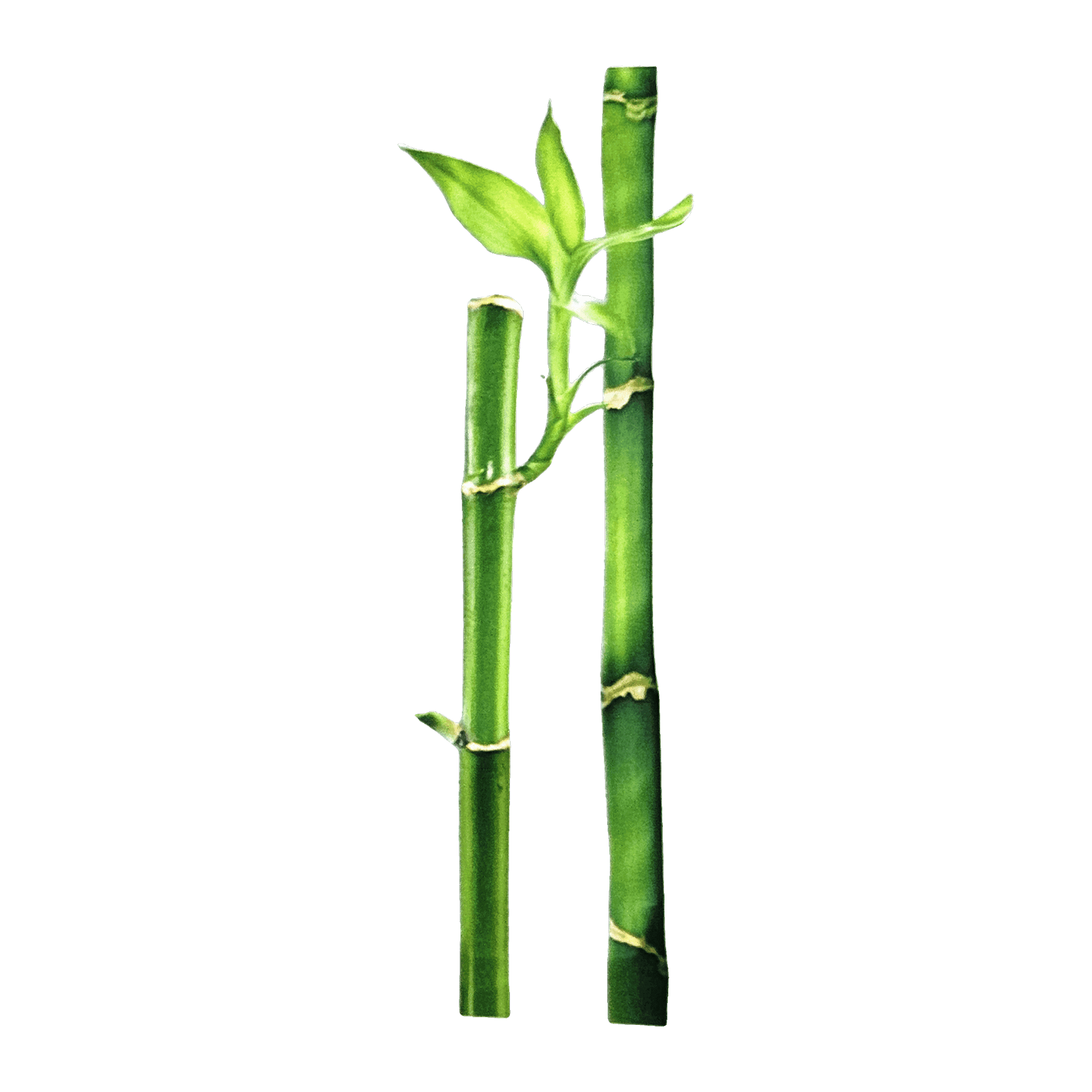 Mooyam Bamboo Face Mask